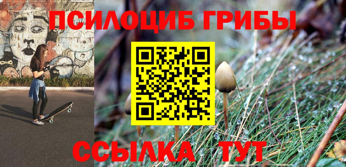 Кемерово  Псилоцибиновые грибы мицелий  Псилоцибиновые грибы мицелий  Вход с VPN 